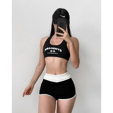 Gym shark���~����ʽ���ؽ����٤�ԸКW�������\�Ӄ���Ӗ��1561