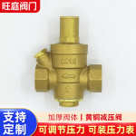 玉环可调式黄铜自来水减压阀工程热水器PPR活接高压热熔压力表