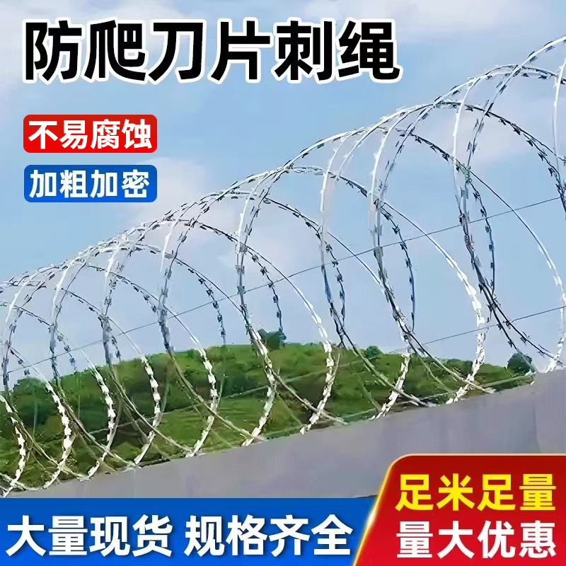 实体工厂刀片刺绳滚防护网刺网带刺铁丝防爬刺围墙防爬网热镀锌
