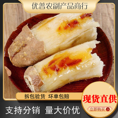 Шаньдун Белый Картофель Хами Рок Сахарный Картофель Сладкий Картофель Песочный Сладкий Картофель Белое Сердце Сладкий Картофель 9 Сладкий Картофель Сладкий Клейкий Прямые Волосы Каменный Сахар Сладкий Картофель