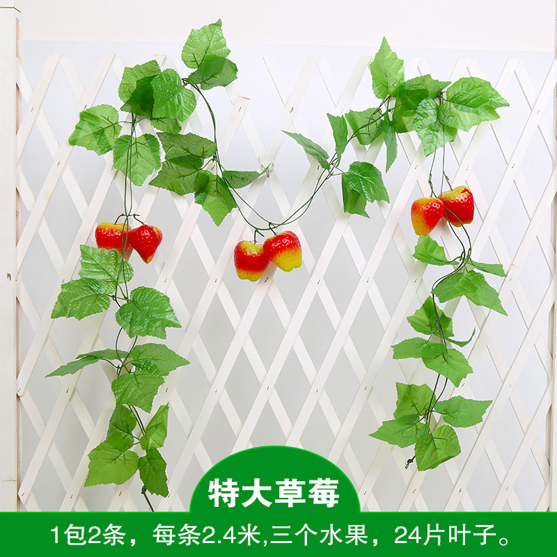 특대 딸기 (2팩)