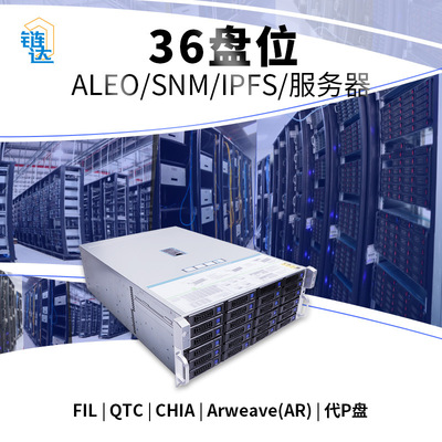 IPFS服务器AR/ALEO/SNM/Arweave/FIL/CHIA集群代管理分布式云存储