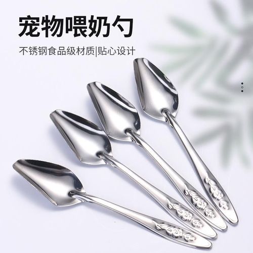 Parrot Feeder Hand-raised Mynah Bird Bulbul Bird Quail Chick Milk Formula Feeding Spoon Stainless Steel Spoon