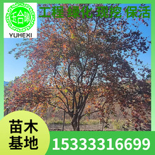 �|�� ����� ��������� ������Ǘ� ��Ǘ��� �@�־��^��