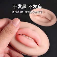 立体唇模块半永久纹绣练习皮欧洲漂唇唇部硅胶实心仿真5D纹绣耗材