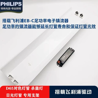 18W36W紫外线杀菌灯诱蚊验钞D65对色日光灯管镇流器配支架