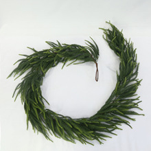 ���ƿ��Ĕz���߼Ҿ��b�c�zӰ�[��ܛ�z����}�Q�ٷ��滨