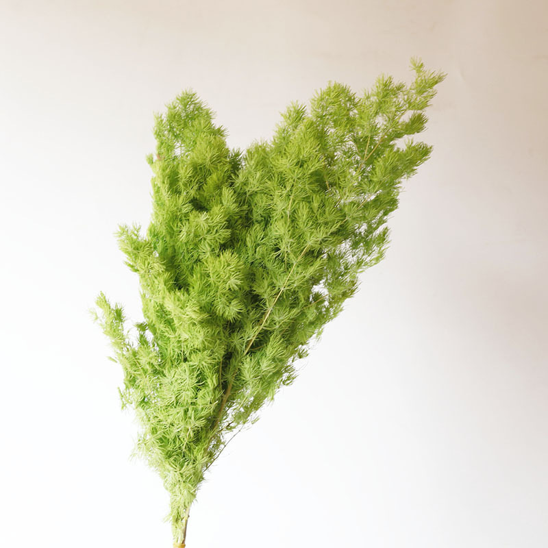 Vert 100g