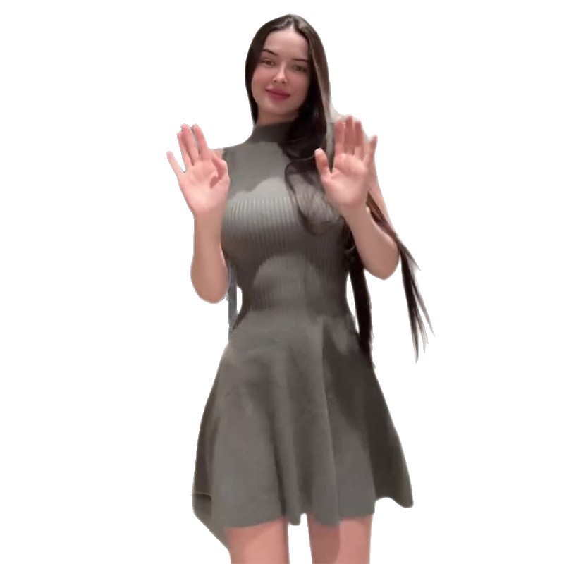 2025夏季新款欧美亚马逊跨境外贸女装无袖收腰灰色简约针织连衣裙|undefined