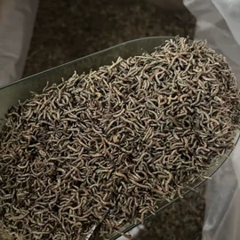 观赏鱼饲料;仓鼠零食