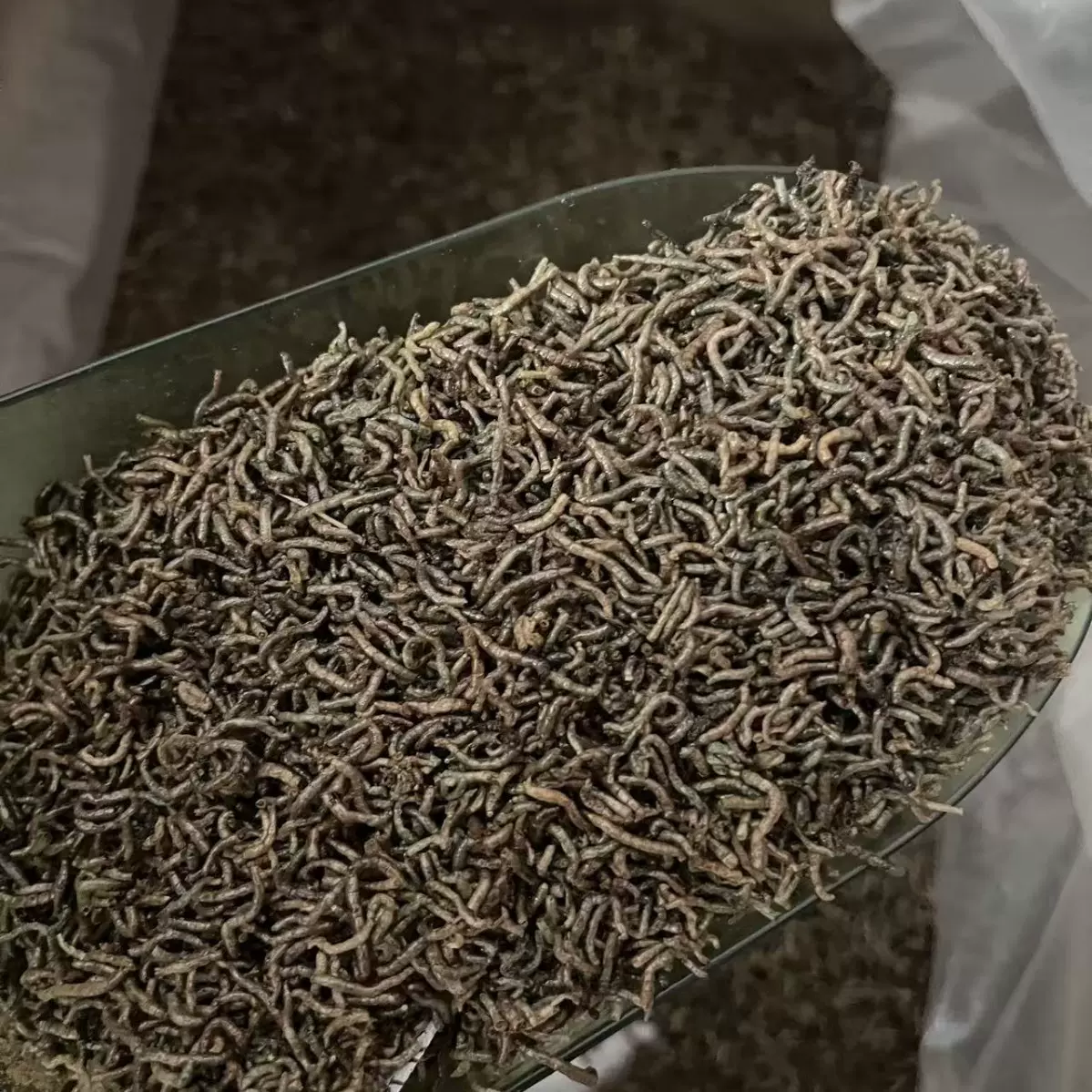 红虫干厂家批发鱼食小型鱼冻干鱼粮观赏鱼鱼苗热带鱼饲料水族