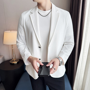 Cross-Border Wholesale Summer Men's Thin Suit Fashion Casual Breathable Stretch Solid Color Ice Silk Blazer Jacket