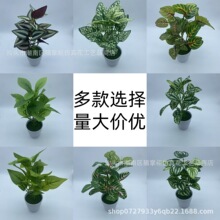 ������G�~�G�}����ֲ���^�z��c��ˇ�辰���ϻ��廨���ܰ���С