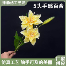 �ٺϻ����滨�ߙnD�ָ����ϼٻ�ˮϴ����PU�z���[���͏d��c�b�