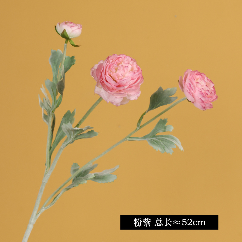 5242 # 핑크 퍼플