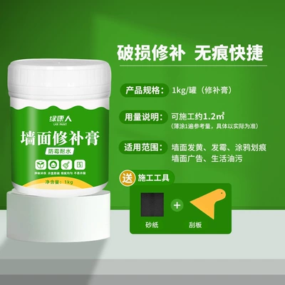Sheet Metal Spray Repair — Household Paint Coating Repair Paste - 1kg-repair-paste-to-repair-wall-potholes-and-free-scraper