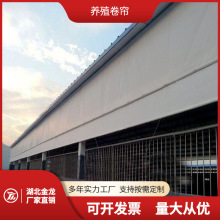 �Ӻ���������ꖱ�ů�Bֳ����������Ȧ�i������͸���u��������