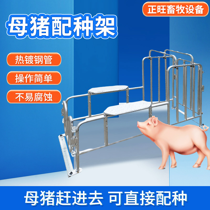 Estante de semilla de cerdas galvanizado en caliente, estante de recolección de esperma de cerdos macho, aparato de cría de artefactos mágicos de semilla de cerdos de patas bajas