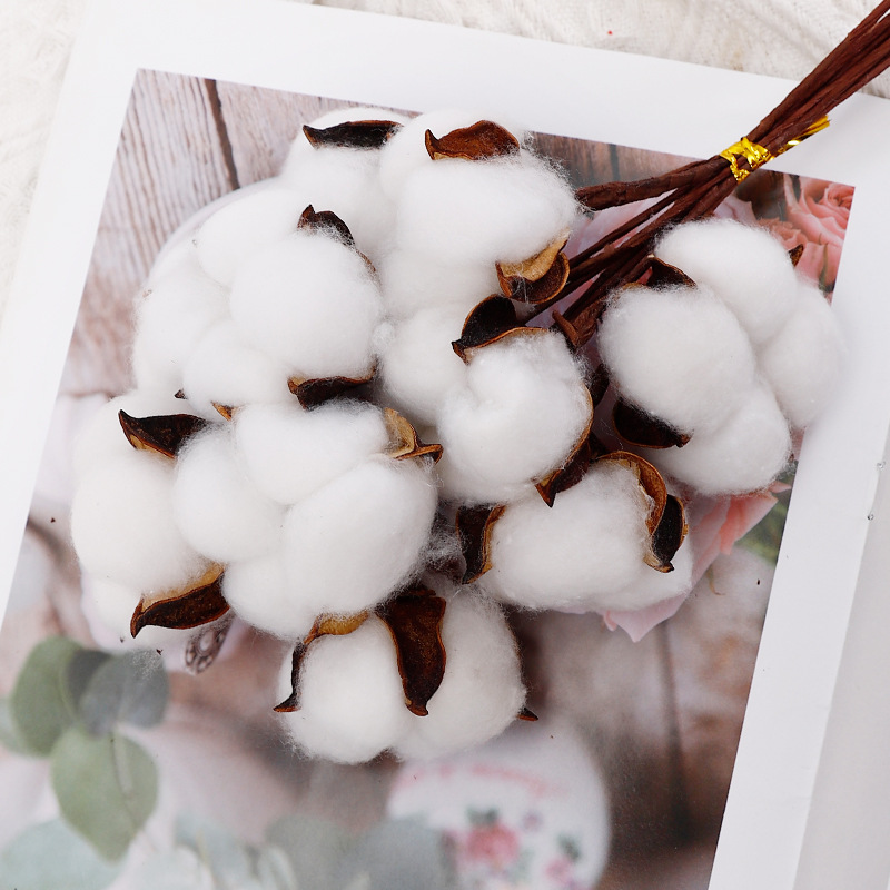网红永生花木棉花天然棉花束手工diy装饰干花包装花艺棉花饰品