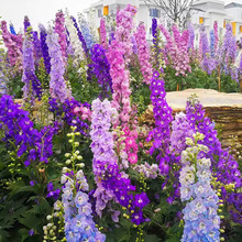 wݻNӴͥԺͺļN׻N̨ԾGN