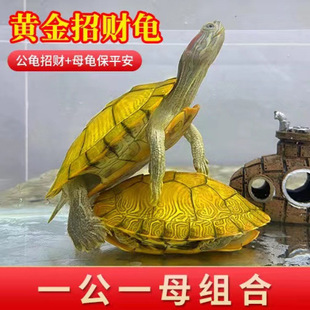 �S����ؔ������һ����H����С����������^�p�L�ۻ��w�����S��