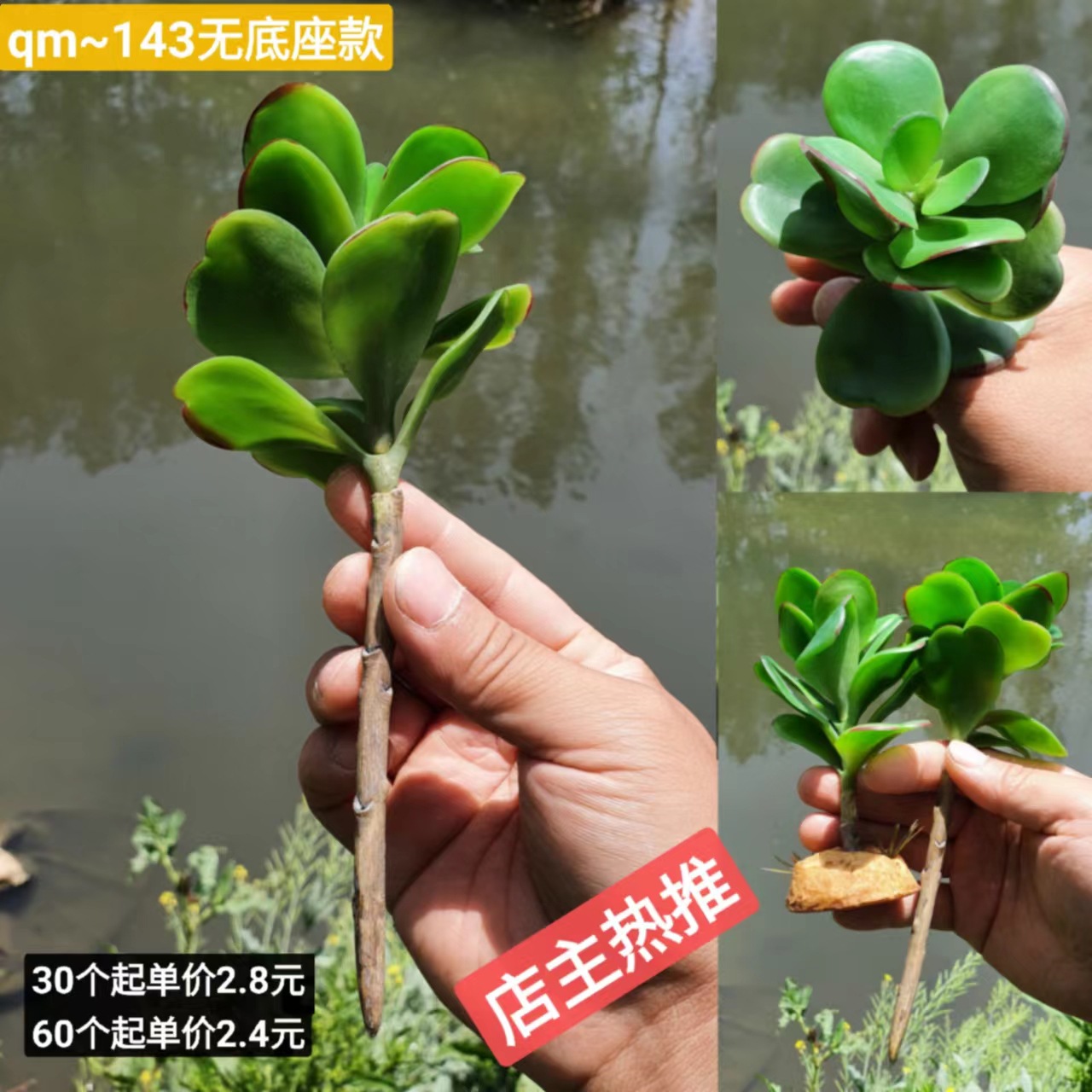 微信图片_20220422191340