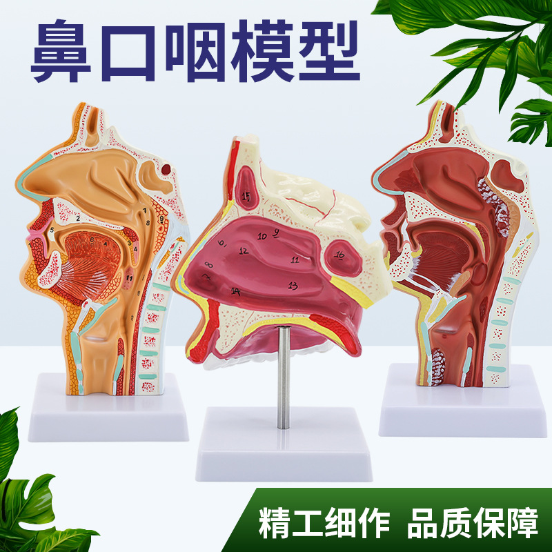 �����ǻ����ģ�� �ڱ���ʸ״ ����ģ�� ��ٿƶ��Ǻ��ƽ�ѧģ��