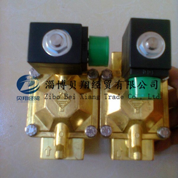 �����ODE��λ��ͨ��ŷ���21W4ZB250 AC220V DN25