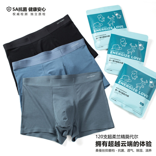 High-end 120 pairs Modal Men's Underwear Wholesale Mulberry Silk Antibacterial Men's Underwear Men's Modal Dropshipping