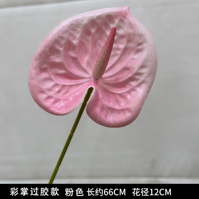 Color palm (glued version)