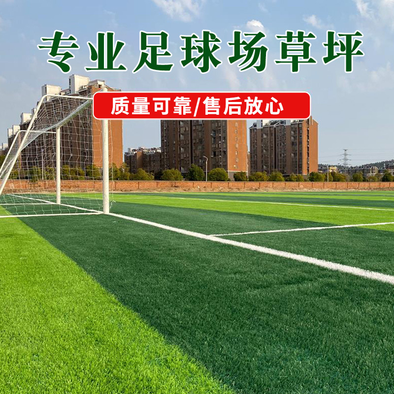 Campo césped de fútbol deportes estadio césped artificial puerta bola hierba Fruit Ridge fábrica de hierba puede construcción puerta a puerta césped de dos colores