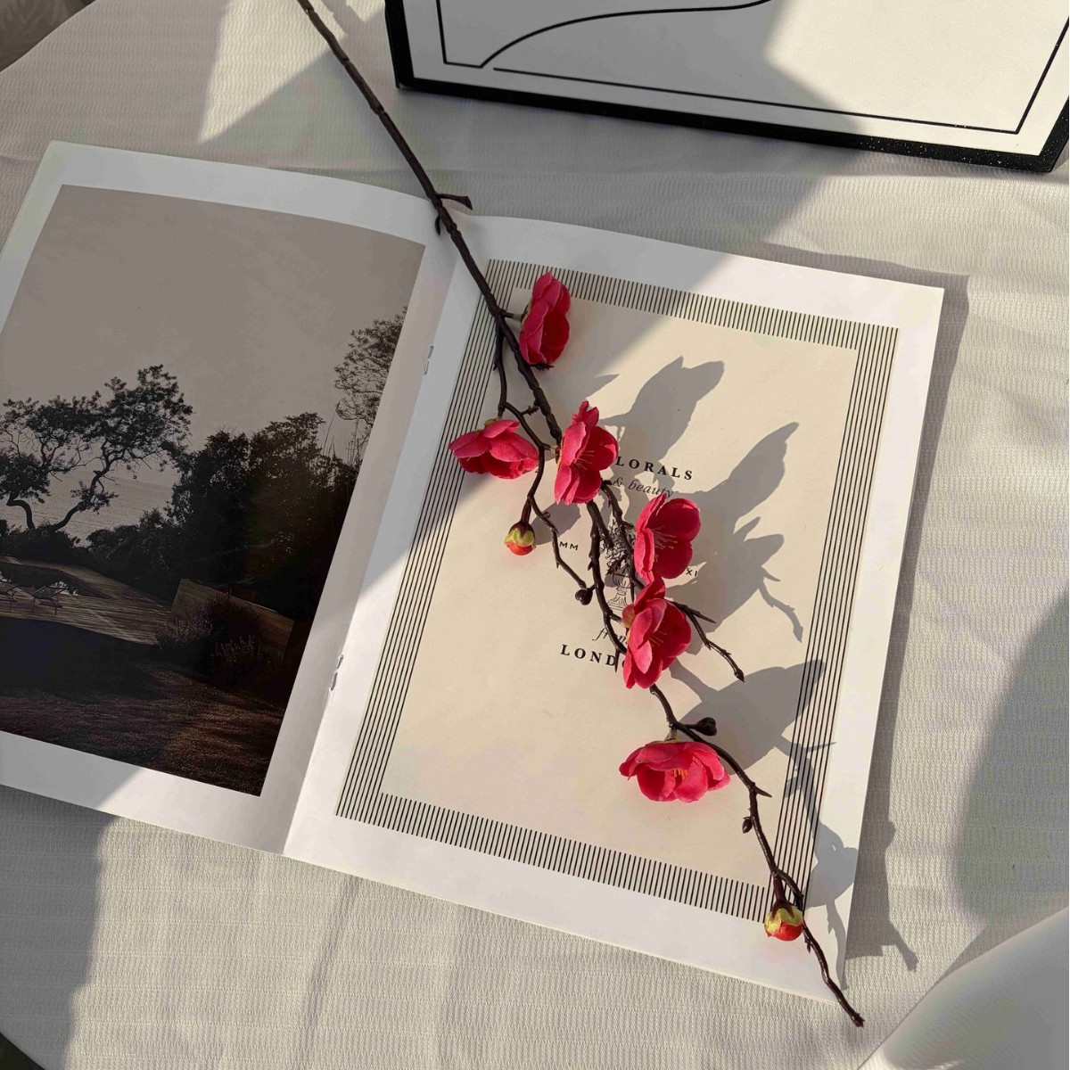 Simulación flor de ciruela estilo chino decoración de flores para el hogar arquitetura floral pastoral rama de ciruela props de disparo flor artificial explosión transfronteriza