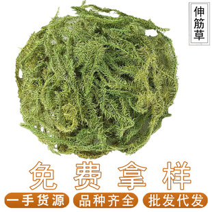 ����500g��؛�������l���l��ș�Ĵ�ȫ