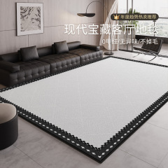 现代极简意式地毯客厅2025新款防水卧室免洗可擦轻奢高级沙发地垫