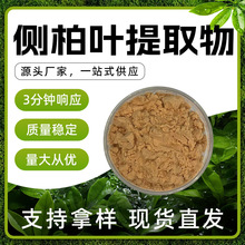 侧柏叶提取物 棕黄色 易溶于水 淡叶香 干燥避光储存 现货批发