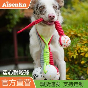 Aisenka ���ﱬ�׻��K�� E-TPU ������ҧĥ����� ����Ӗ���␞��