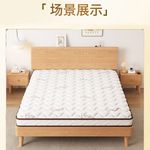 无胶水偏硬护脊椎椰棕床垫家用抗菌防螨榻榻米垫可折叠厂一件批发