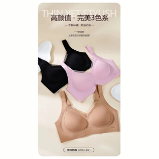 A205#��V�۔n������̶�������@M~4XL   110��/56����2���b��