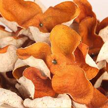 �Ƥ���Ͻ����خa��ɵ�����Ƥ����ˮ�ݲ����u�Ϲٷ���Şɢ�b��