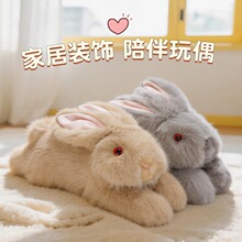 �ɐۏͻſſ����ë�q��߹���С������ż��ͯ���᲼���޶Y��