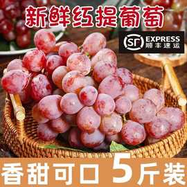 【顺丰包邮】红提新鲜水果红宝石克伦生冰美人葡萄应季水果批发