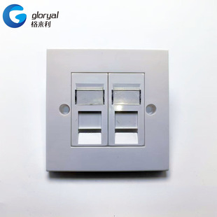 Network call-free module panel dual-port six types of computer telephone information network socket
