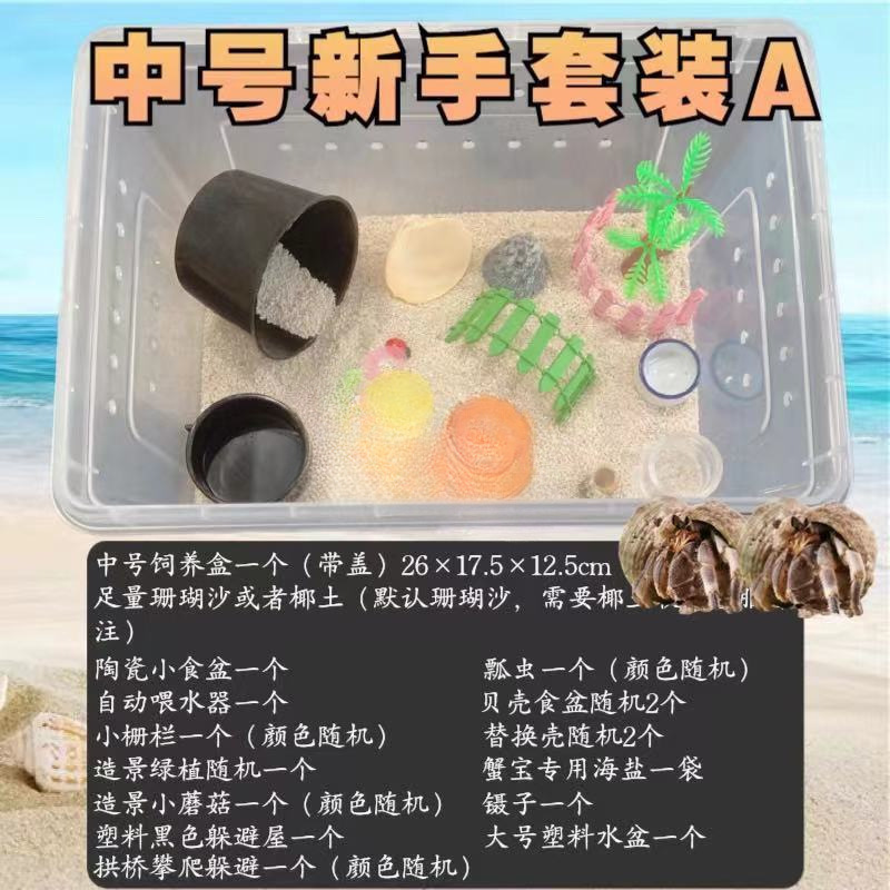 寄居蟹专用饲养爬宠饲养盒昆虫观察盒新手套装饲养缸寄居蟹套餐|undefined