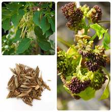 ˮNӻNľNļ^~NӴ~q|q˨N