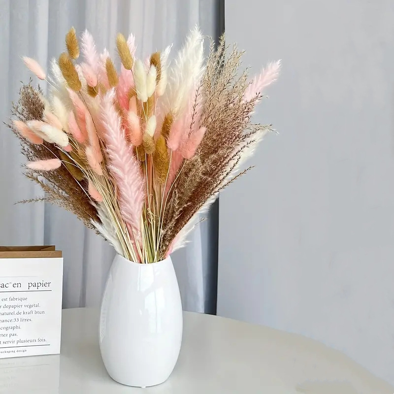 85支50 支干蒲苇芦苇干花装饰17 英寸天然兔尾草干花花束跨境批发
