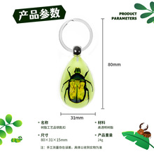源头实力工厂批发高透明树脂内埋自然昆虫水滴形夜光钥匙扣挂件