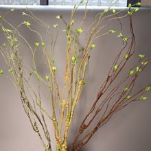 lѿ֦ lݴѿ֦l Ȼ֦ ҃ȼҾb