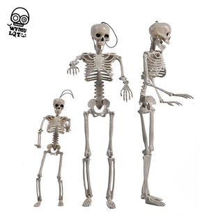 �f�}�����t�Ǽ� 60cm���t�������������̶����˄�վ�� �������w