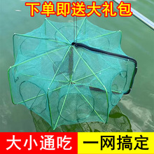 ���x���\�����r�\���r�W�O�W�\���~�\���q�S�X�\�������r�W