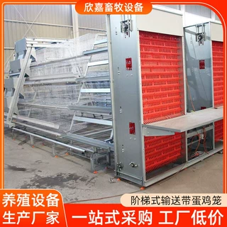 多层阶梯式全自动化蛋鸡笼定制加工背负式捡蛋喂料传送带清粪